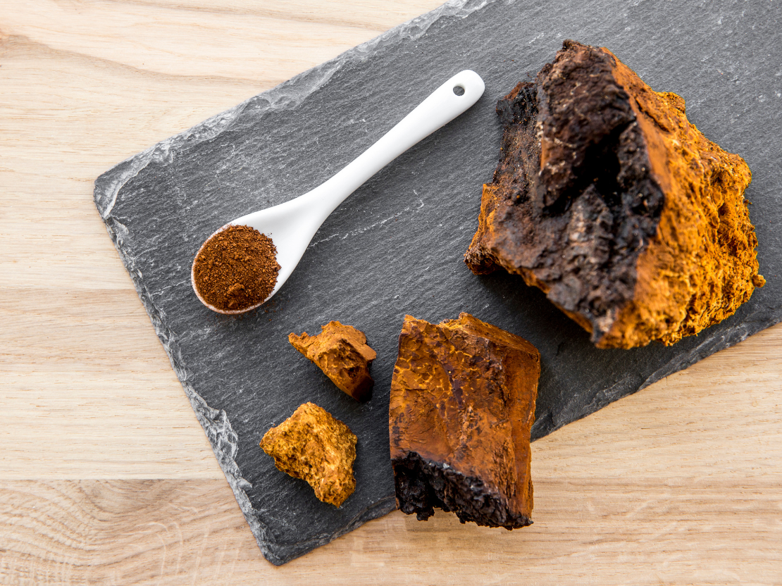 Mykotherapie: Behandlung mit Heilpilzen