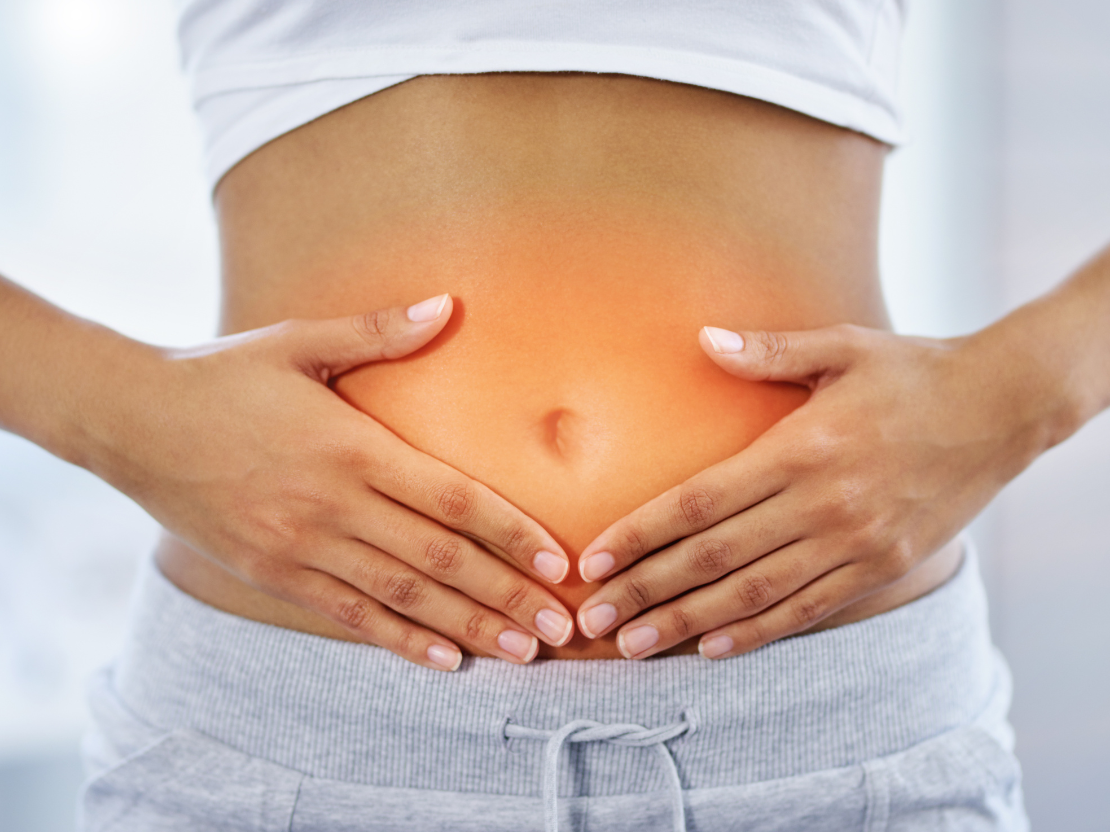 Die Kraft der Vitalpilze auf den Darm