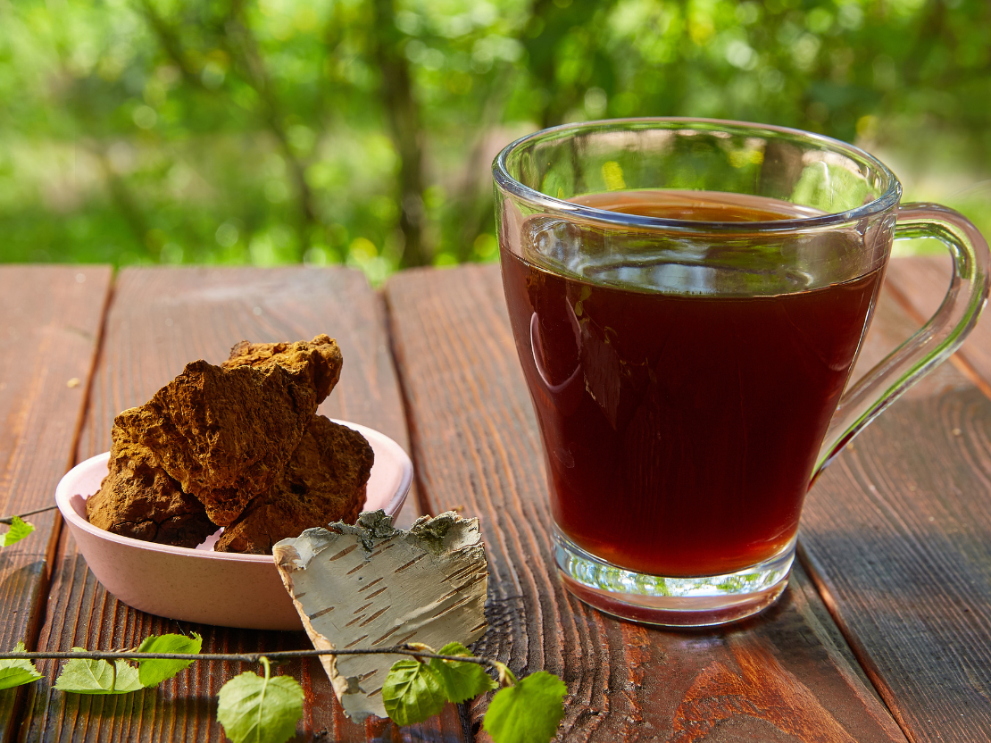 Chaga Tee: Zubereitung und Anwendung - So gelingt es