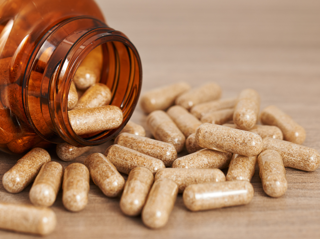 Was ist eigentlich besser: Vitalpilz-Pulver oder Extrakt?