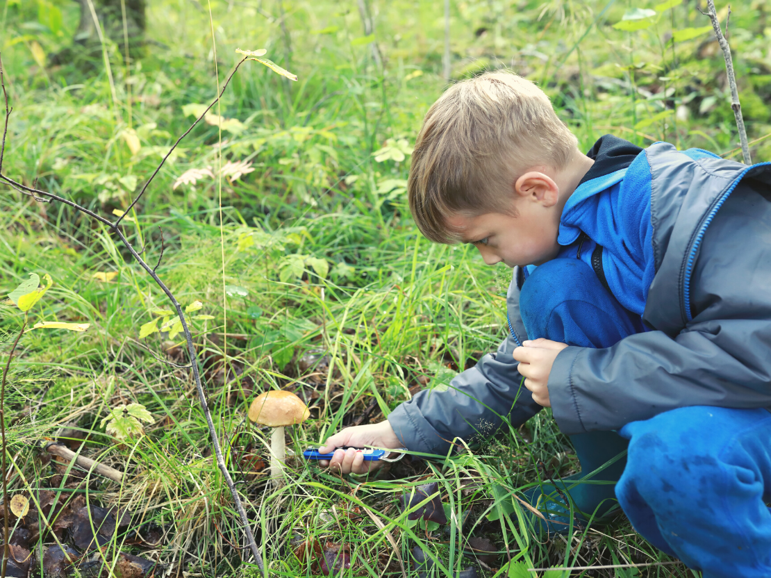 Sind Vitalpilze für Kinder und Jugendliche geeignet?