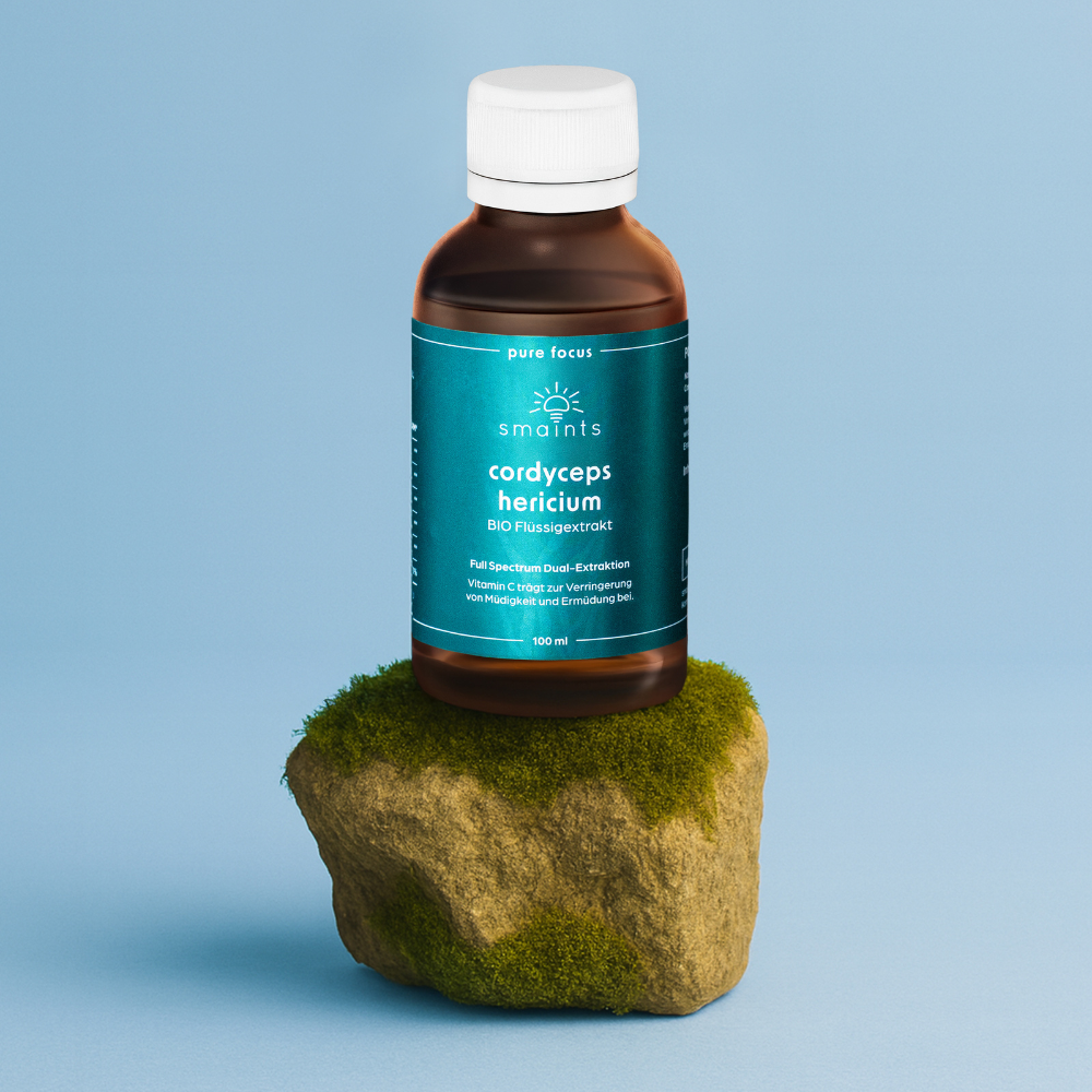 Founder Bundle (groß)