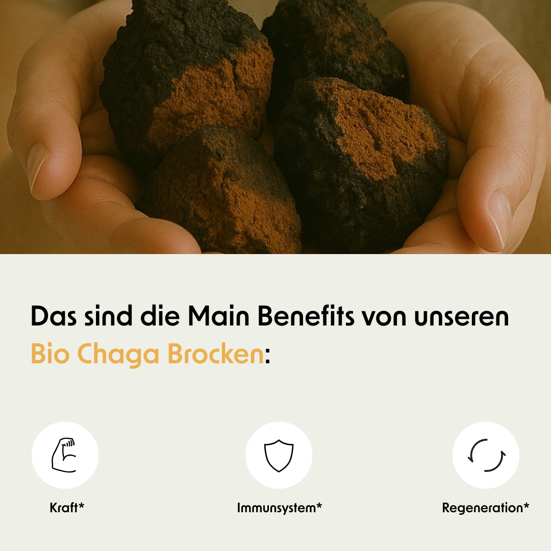 Bio Chaga Brocken aus Finnland