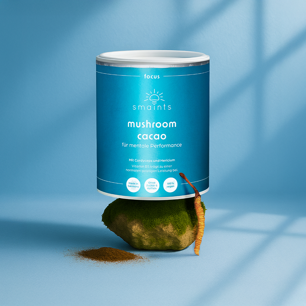 Mushroom Cacao inszeniert im Querformat
