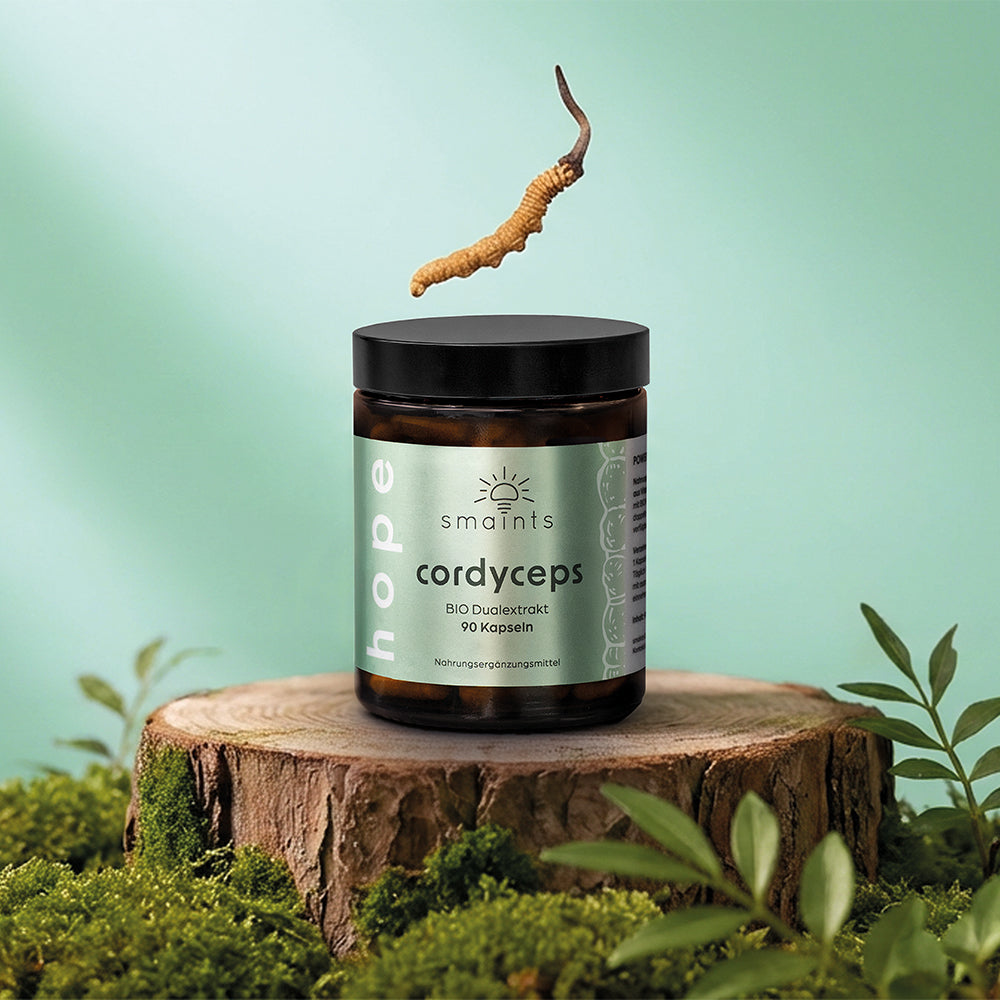 Longevity Bundle mit Cordyceps & Reishi