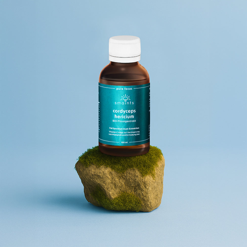 Mushroom Coffee Bundle