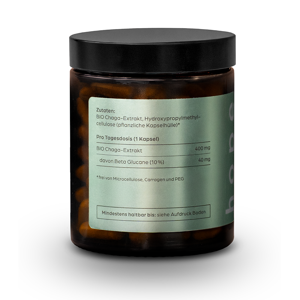 Immune Kur 3 Monate | Chaga und Shiitake Kapseln
