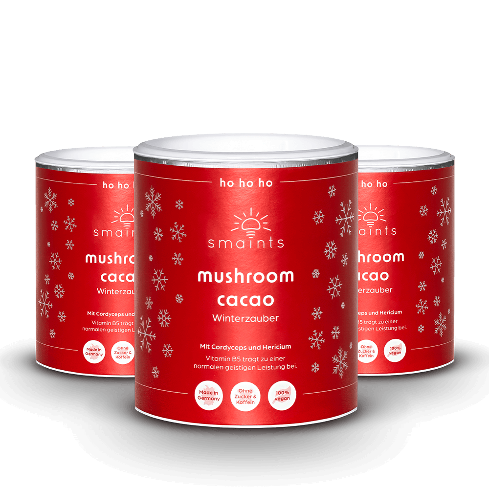 Winterzauber Edition - Mushroom Cacao mit Cordyceps und Hericium 210g