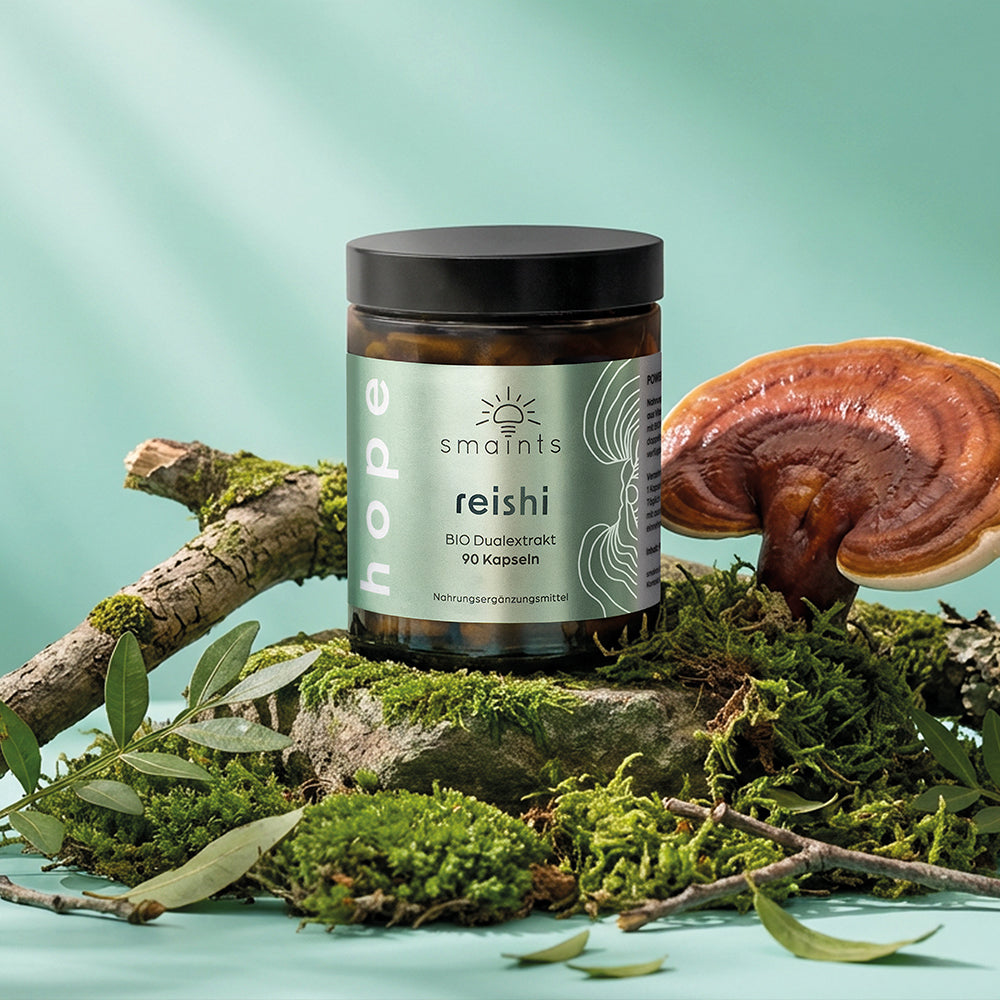 Longevity Bundle mit Cordyceps & Reishi
