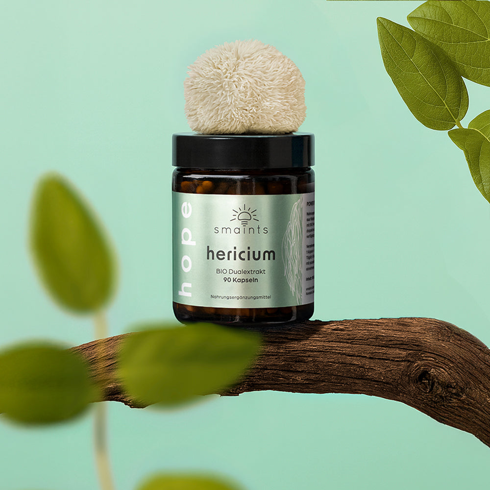 Bio Hericium Extrakt Kapseln inszeniert