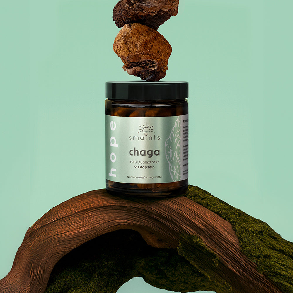 Immune Kur 3 Monate | Chaga und Shiitake Kapseln