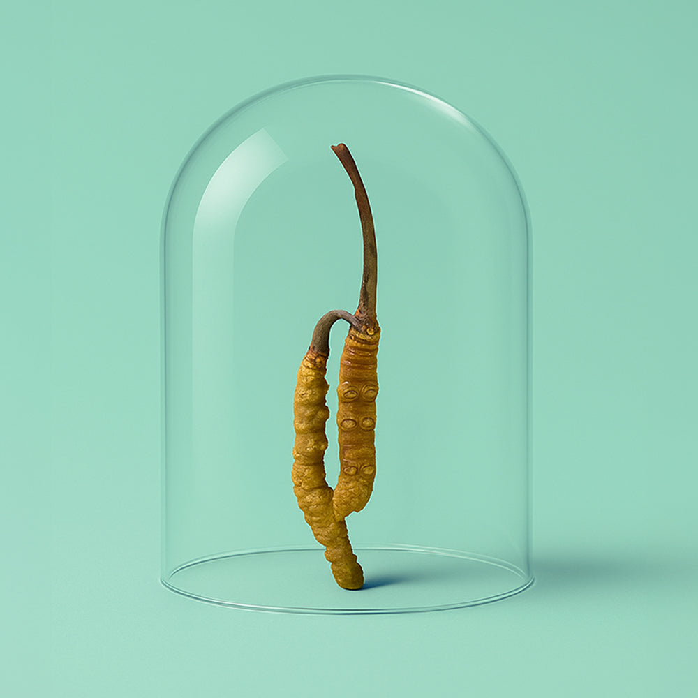 smaints 6er Pack Schilddrüsen Komplex LP