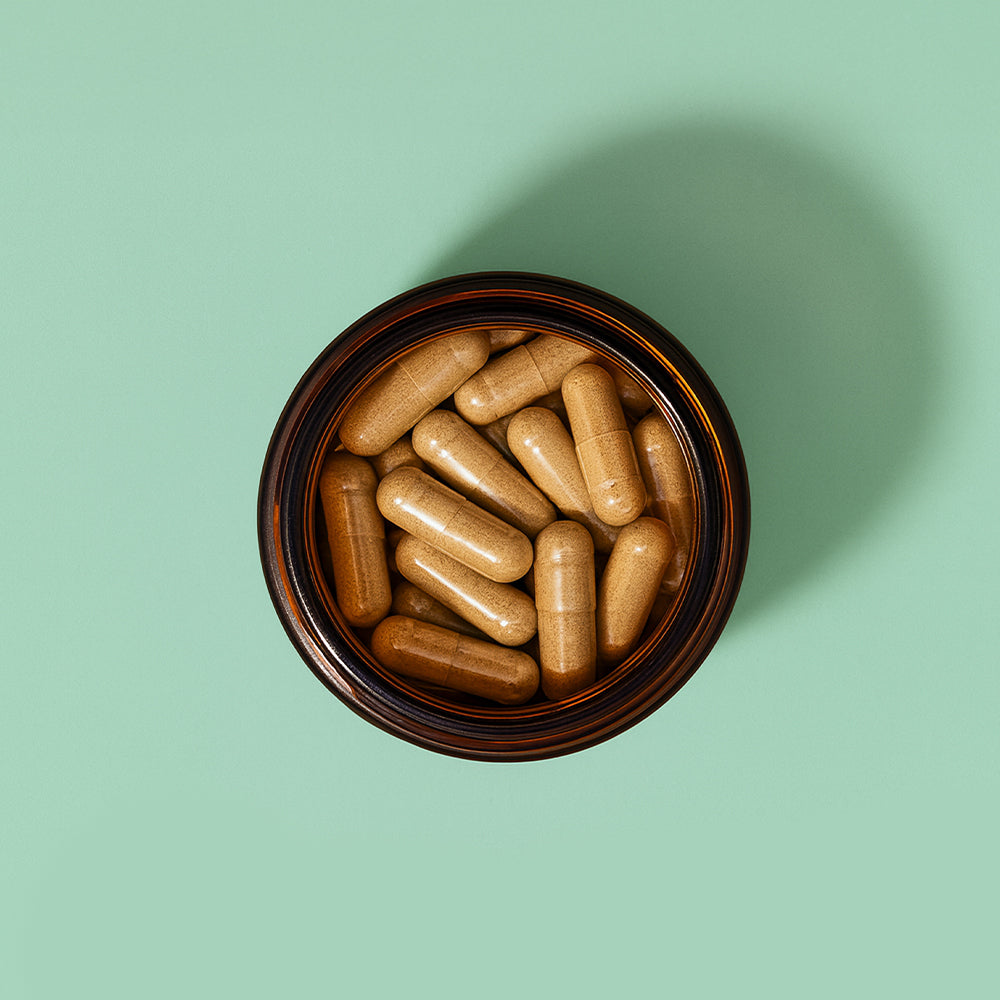 Bio Chaga Extrakt Kapseln