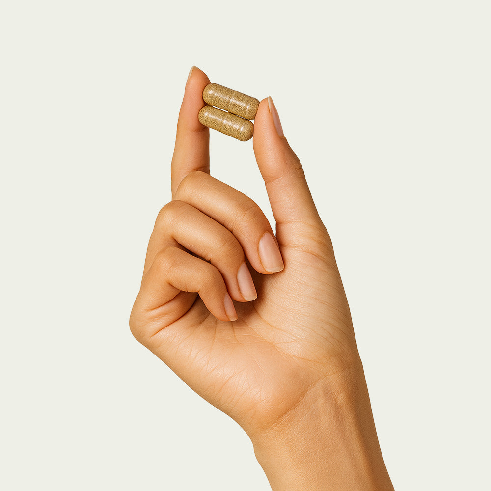 Bio Chaga Extrakt Kapseln