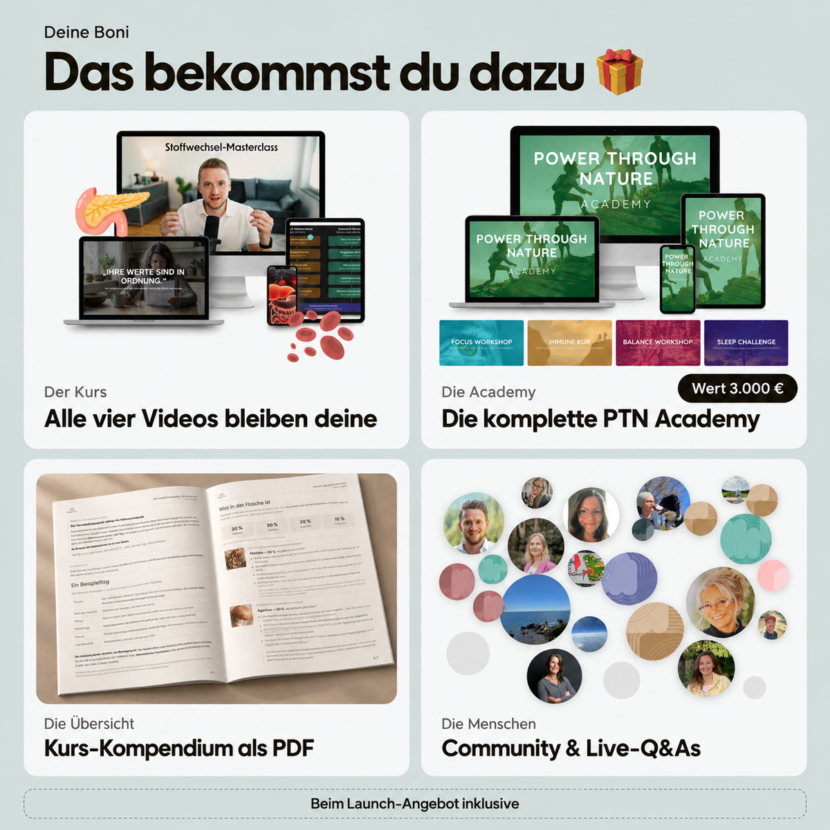 Deine Boni zum Launch: alle vier Kurs-Videos, die komplette PTN Academy im Wert von 3.000 Euro, das Kurs-Kompendium als PDF sowie Community und Live-Q&As