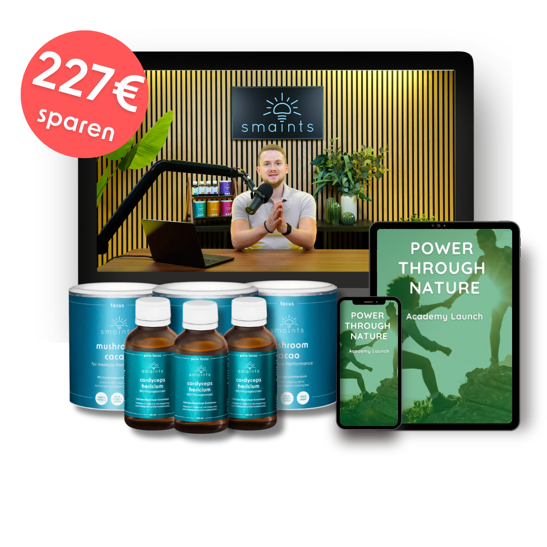 3x Focus Bundle Angebot