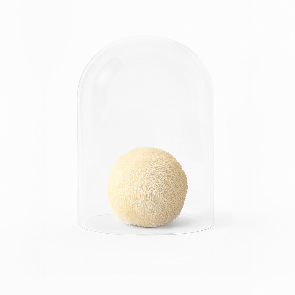 Hericium Vitalpilz