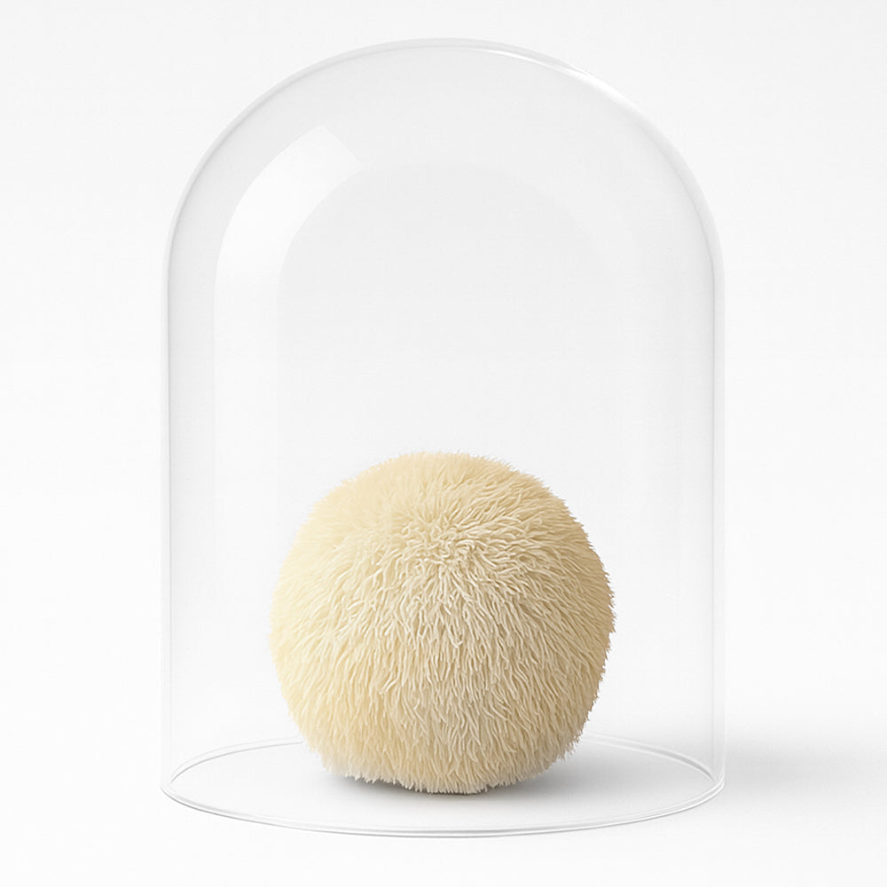 Pure Night Flüssigextrakt mit Reishi und Hericium