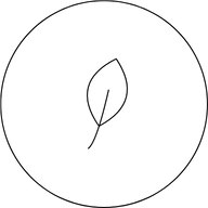 Reich an Bioaktivstoffen