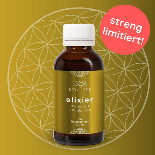 Elixier Flüssigextrakt mit 7 Vitalpilzen