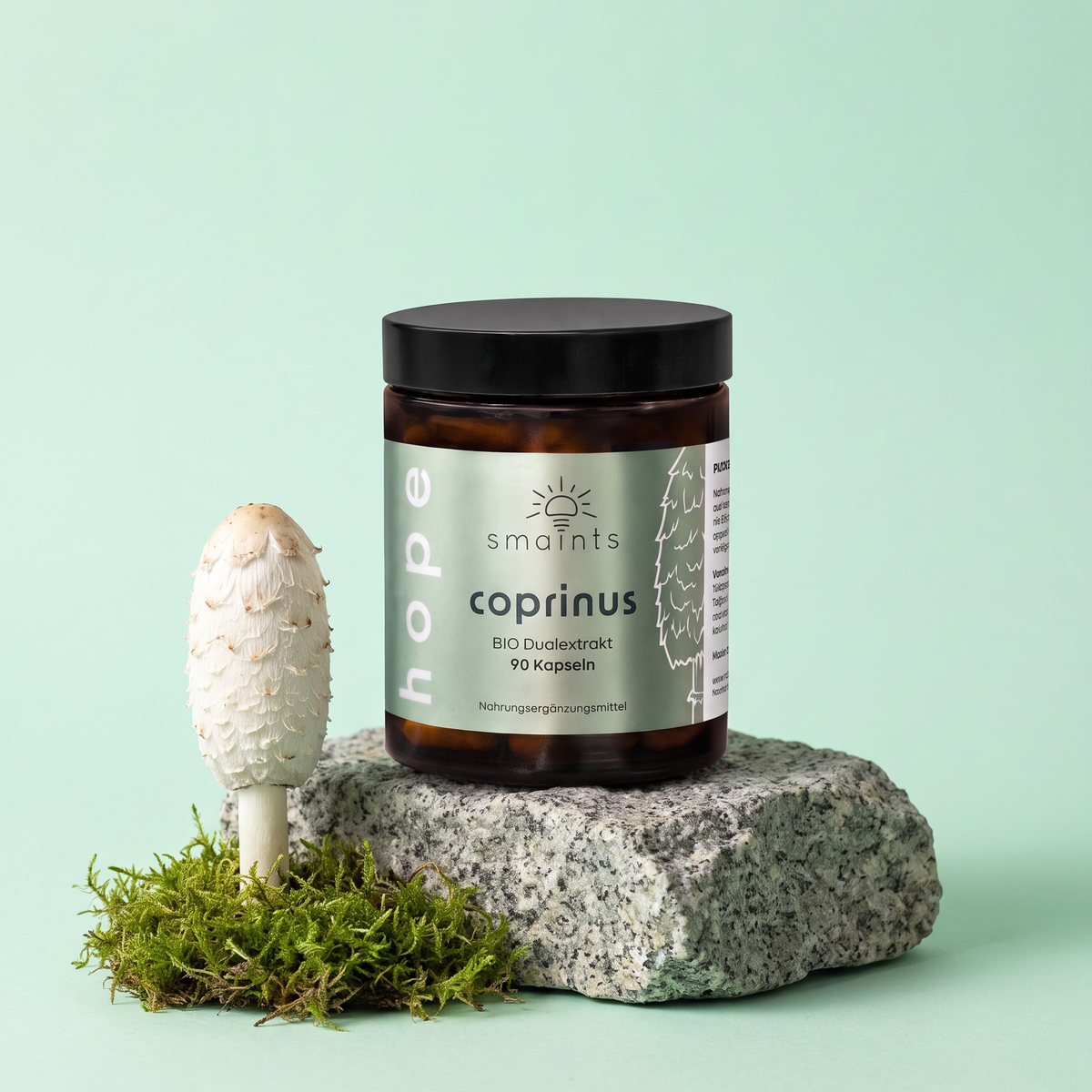 smaints hope Coprinus Kapseln auf Stein mit Schopftintling